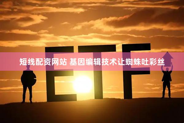 短线配资网站 基因编辑技术让蜘蛛吐彩丝